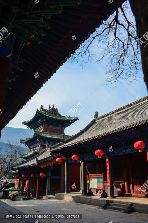 少林寺辟谣30名僧人集体辞职，真相到底是什么？