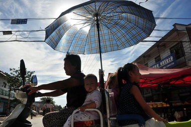 南方持续高温！应对策略全解析