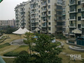 北京新政首日：购房者顶烈日看房，房企争先营销揽客