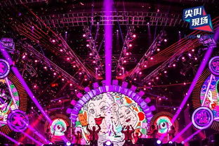 一场热闹的演唱会现场