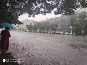被雨水冲刷的山坡