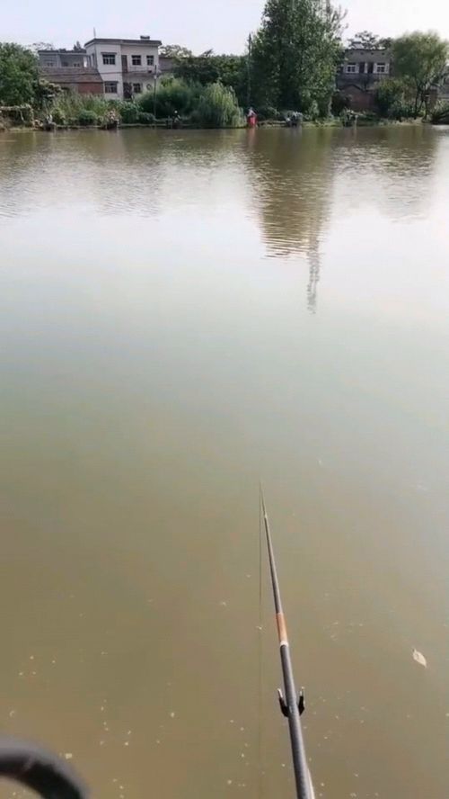 钓鱼大哥悬着的心终于放下啦