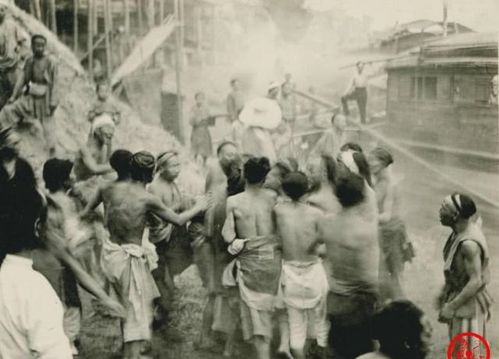 中国留学生在澳洲频遭暴力袭击，背后真相令人揪心