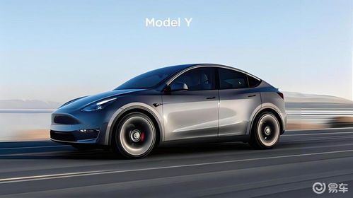 特斯拉Model Y