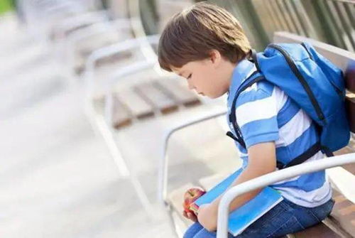 多地中小学春秋假来了！家长学生乐开花