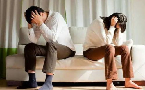 因鸡蛋之事夫妻矛盾激化，妻子怒摔碗，丈夫回应引关注！