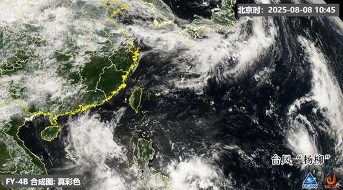 台风杨柳生成，对流不断被切的背后原因大揭秘！