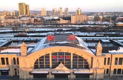 鹤岗惊现百万元高档小区，背后故事引关注！