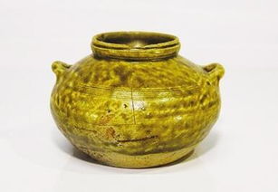 刘某某挖掘出的陶罐和里面的簪饰