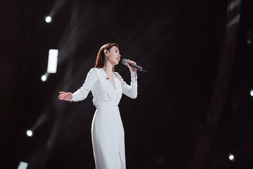 那英官方歌迷会解散背后的故事