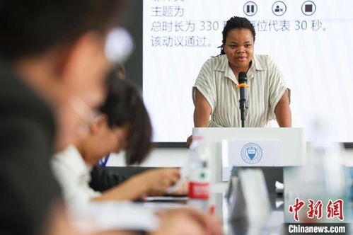 国际外交官商讨