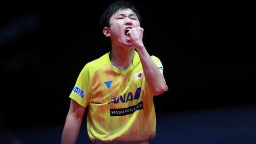 张本智和发布微博