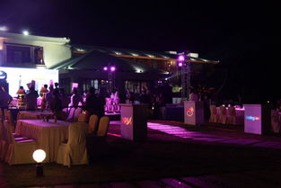 以文化人以文兴业：微博助力洛阳文旅发展的那些事儿