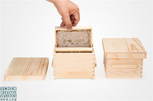 带小蜜蜂出游Vlog大揭秘！