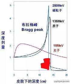真相大揭秘！那些关于香蕉致癌的谣言都是瞎扯
