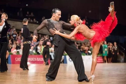 拉丁舞裁判接受采访