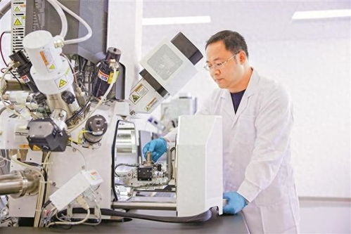 广州‘以蚊治蚊’：每周释放500万只绝育雄蚊对抗基孔肯雅热