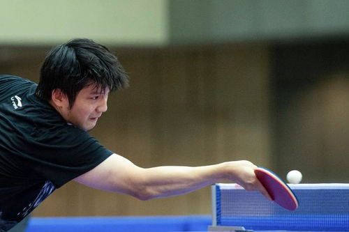 樊振东在训练中