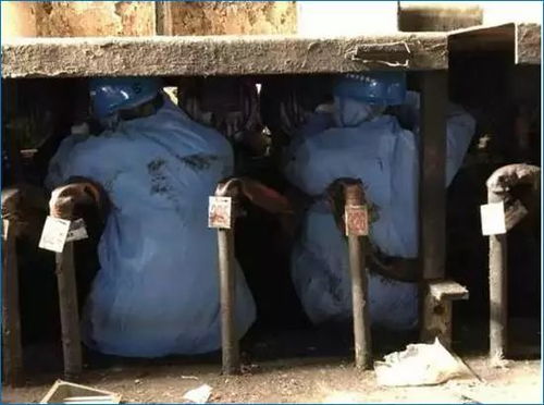 暑假工交流学院：打工人的宝藏之地！