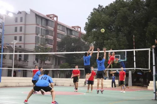 村民围观排球赛