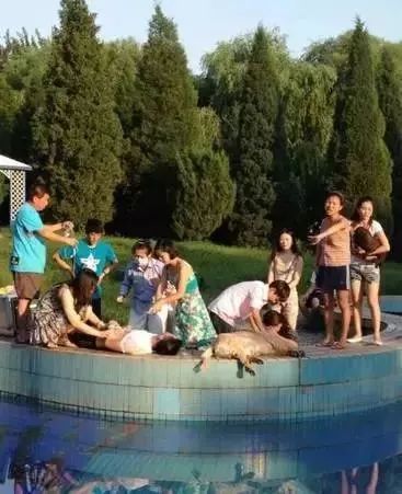 云南大理7岁孩童苍山走失，当地派出所在全力搜寻