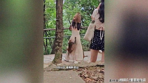 武侠城景区惊现暴力事件，工作人员竟遭如此对待！