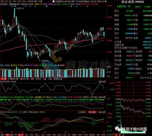 A股牛市主升浪或于明年到来，投资机遇何在？