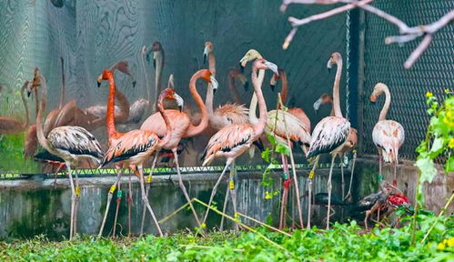 动物园趣味瞬间