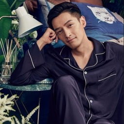 野兽先生直播画面