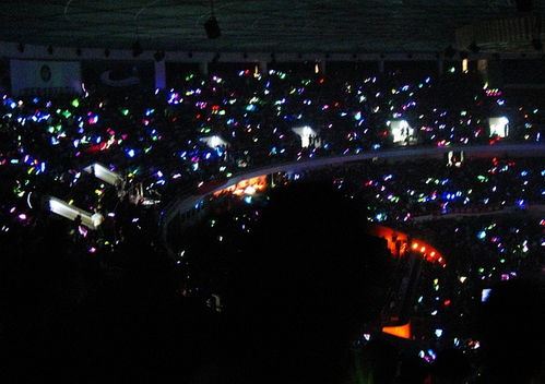 舞台下一片荧光棒海洋