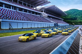 领克900插混旗舰SUV：28.99万起，上市百天交付超2万的秘密