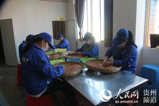 工人认真挑选花生