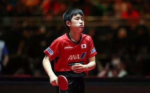 张本智和赛后接受采访