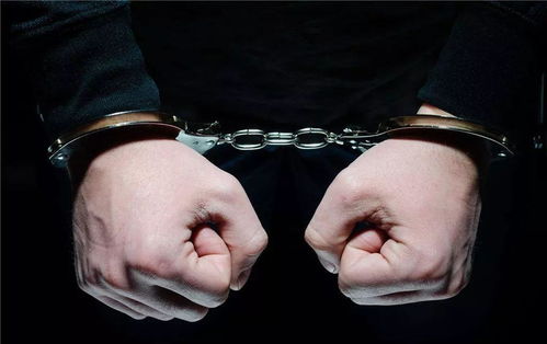 武大杨某案：辩护律师疑似销号跑路背后的迷雾