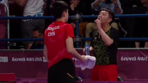 张本智和赛后举动引关注，先握手再脱衣庆祝