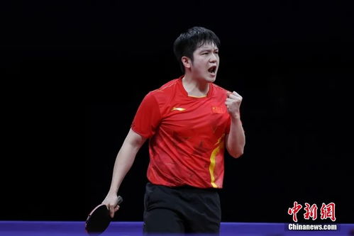 樊振东在比赛中