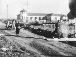 南京大屠杀遗址的照片