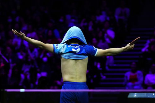 王楚钦主动向张本智和送上祝贺，彰显体育精神！