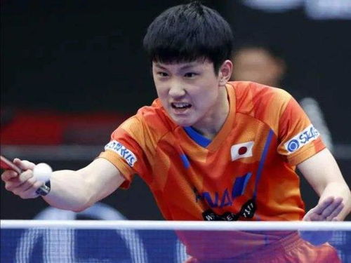 张本智和与对手比赛画面