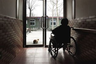 养老公寓28亿爆雷，大量公职人员竟也牵扯其中！