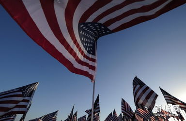 美议员称俄乌或交换领土达协议，各方反应几何？