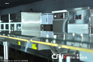 古法小榨车间忙碌的画面