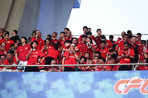 让体育重拾本真温度，从抖音看体育生态变迁