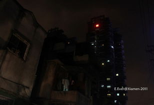 抖音精品喜剧短剧《子夜归》定档，开启欢乐之旅！