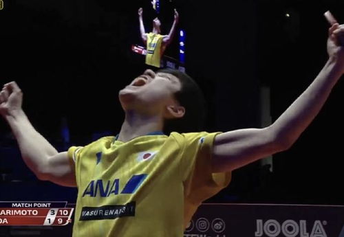 张本智和夺冠后的庆祝动作