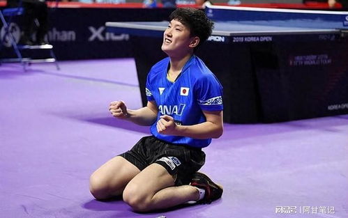 张本智和回应‘告状’：渴望更多尊重，推动乒乓球发展