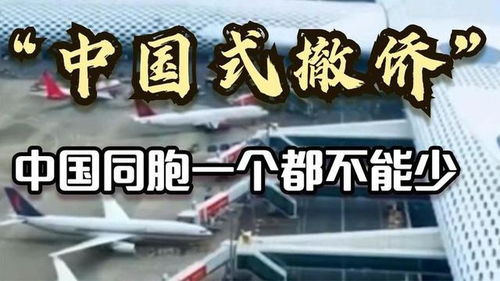 抖音热梗背后：黑一只爆改刘大炮引发的思考