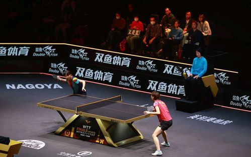 陈幸同认真比赛的样子