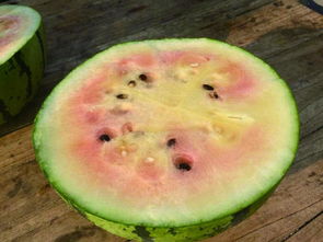 西瓜切面图