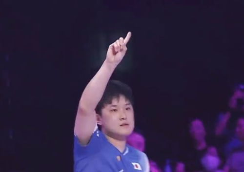 王皓与张本智和握手